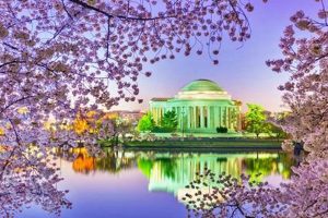 Top Spots: Best Places to Travel to in March (Deals Inside!) Safem Fabrication - Precision Engineering & Custom Manufacturing Solutions Top Spots: Best Places to Travel to in March (Deals Inside!) | Safem Fabrication - Precision Engineering & Custom Manufacturing Solutions