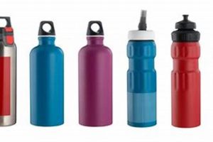 Top-Rated: Best Water Bottle for Plane Travel On the Go Best Travel Tips for Adventurers: Explore the World on a Budget Top-Rated: Best Water Bottle for Plane Travel On the Go | Best Travel Tips for Adventurers: Explore the World on a Budget