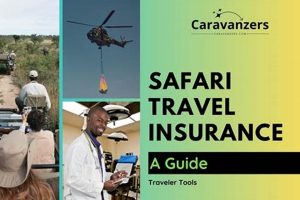 Ultimate Safari Travel Insurance Guide: Coverage & Cost Safem Fabrication - Precision Engineering & Custom Manufacturing Solutions Ultimate Safari Travel Insurance Guide: Coverage & Cost | Safem Fabrication - Precision Engineering & Custom Manufacturing Solutions