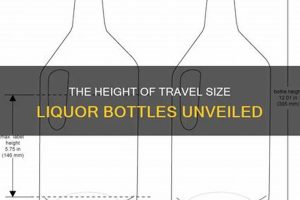 Mini Alcohol: Best Travel Size Alcohol for On-the-Go Safem Fabrication - Precision Engineering & Custom Manufacturing Solutions Mini Alcohol: Best Travel Size Alcohol for On-the-Go | Safem Fabrication - Precision Engineering & Custom Manufacturing Solutions