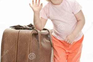 Tiny Little Traveler: Travel Tips & Adventures! Safem Fabrication - Precision Engineering & Custom Manufacturing Solutions Tiny Little Traveler: Travel Tips & Adventures! | Safem Fabrication - Precision Engineering & Custom Manufacturing Solutions
