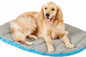Top-Rated Best Travel Dog Bed for Happy Travels! Best Travel Tips for Adventurers: Explore the World on a Budget Top-Rated Best Travel Dog Bed for Happy Travels! | Best Travel Tips for Adventurers: Explore the World on a Budget