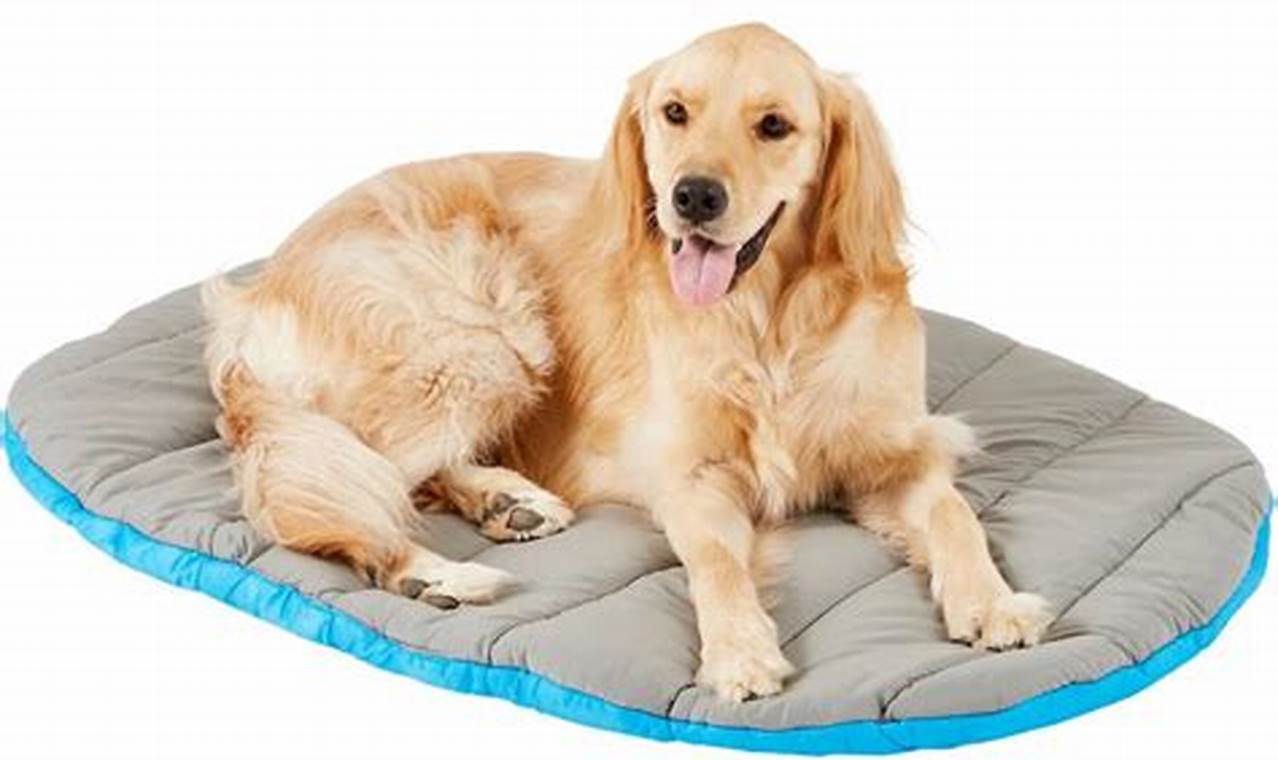 Top-Rated Best Travel Dog Bed for Happy Travels! Best Travel Tips for Adventurers: Explore the World on a Budget Top-Rated Best Travel Dog Bed for Happy Travels! | Best Travel Tips for Adventurers: Explore the World on a Budget