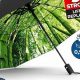 Top-Rated Best Compact Travel Umbrella for Worry-Free Travel | Best Travel Tips for Adventurers: Explore the World on a Budget