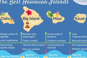 Ultimate Guide: What is the Best Month to Travel to Hawaii? Tips Best Travel Tips for Adventurers: Explore the World on a Budget Ultimate Guide: What is the Best Month to Travel to Hawaii? Tips | Best Travel Tips for Adventurers: Explore the World on a Budget