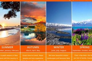 When's the Best Season to Travel to New Zealand? (+Tips!) Best Travel Tips for Adventurers: Explore the World on a Budget When's the Best Season to Travel to New Zealand? (+Tips!) | Best Travel Tips for Adventurers: Explore the World on a Budget