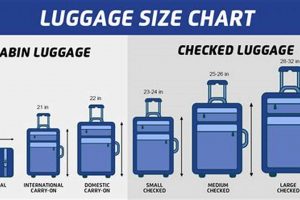 Best Women's Travel Bags [Guide & Reviews] | Best Travel Tips for Adventurers: Explore the World on a Budget