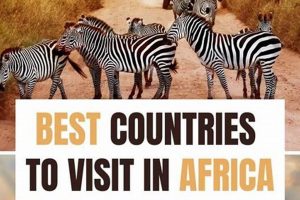 Discover the Best African Country to Travel: Your Guide Best Travel Tips for Adventurers: Explore the World on a Budget Discover the Best African Country to Travel: Your Guide | Best Travel Tips for Adventurers: Explore the World on a Budget