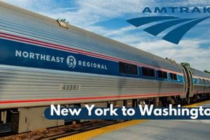 DC to NYC: Discover the Best Way to Travel From Washington DC to New York Best Travel Tips for Adventurers: Explore the World on a Budget DC to NYC: Discover the Best Way to Travel From Washington DC to New York | Best Travel Tips for Adventurers: Explore the World on a Budget
