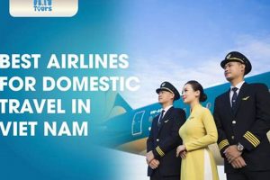 [Top Pick] Best Airline for Domestic Travel: Fly High! | Best Travel Tips for Adventurers: Explore the World on a Budget