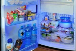 Small Fridge for Travel Trailer: Guide & Best Options Best Travel Tips for Adventurers: Explore the World on a Budget Small Fridge for Travel Trailer: Guide & Best Options | Best Travel Tips for Adventurers: Explore the World on a Budget