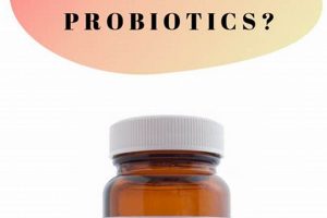 Travel Smart: Best Probiotics for Travelling Abroad ✈ Best Travel Tips for Adventurers: Explore the World on a Budget Travel Smart: Best Probiotics for Travelling Abroad ✈ | Best Travel Tips for Adventurers: Explore the World on a Budget