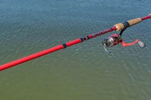 The Ultimate Best Travel Rod Guide: Portable Power! Best Travel Tips for Adventurers: Explore the World on a Budget The Ultimate Best Travel Rod Guide: Portable Power! | Best Travel Tips for Adventurers: Explore the World on a Budget