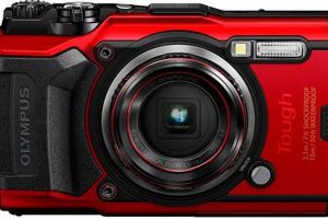 Top-Rated: Best Travel Camera Under $500 (2024 Guide) Best Travel Tips for Adventurers: Explore the World on a Budget Top-Rated: Best Travel Camera Under $500 (2024 Guide) | Best Travel Tips for Adventurers: Explore the World on a Budget