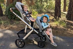 Top-Rated Best Travel Double Stroller: Reviews & Guide Best Travel Tips for Adventurers: Explore the World on a Budget Top-Rated Best Travel Double Stroller: Reviews & Guide | Best Travel Tips for Adventurers: Explore the World on a Budget