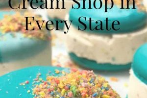 US Travel: Best Ice Cream in Every State & Leisure Tips Best Travel Tips for Adventurers: Explore the World on a Budget US Travel: Best Ice Cream in Every State & Leisure Tips | Best Travel Tips for Adventurers: Explore the World on a Budget