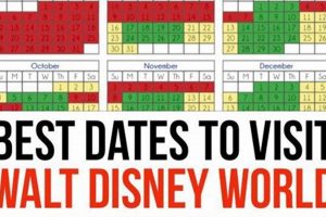 Disney: Find the Best Dates to Travel to Disney World! Best Travel Tips for Adventurers: Explore the World on a Budget Disney: Find the Best Dates to Travel to Disney World! | Best Travel Tips for Adventurers: Explore the World on a Budget