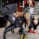 Top-Rated: Best Travel Stroller with Car Seat Combos | Best Travel Tips for Adventurers: Explore the World on a Budget
