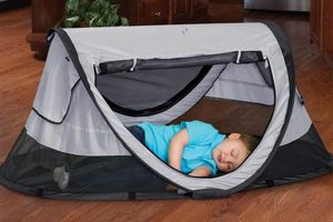 Find the Best Travel Toddler Bed: Reviews &amp; Guide | Best Travel Tips for Adventurers: Explore the World on a Budget