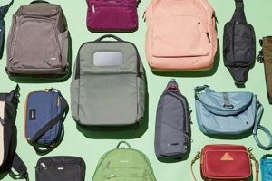 Secure Your Trip: Best Anti Theft Bags for Travel [Guide] | Best Travel Tips for Adventurers: Explore the World on a Budget