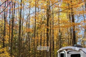 Ultimate Travel Trailer RVing: Tips &amp; Tricks | Best Travel Tips for Adventurers: Explore the World on a Budget