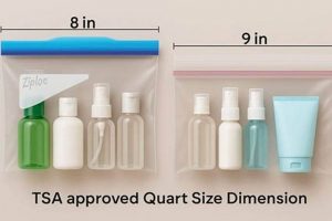TSA Quart Size Bag Travel: Pack Smart & Fly Easy Best Travel Tips for Adventurers: Explore the World on a Budget TSA Quart Size Bag Travel: Pack Smart & Fly Easy | Best Travel Tips for Adventurers: Explore the World on a Budget