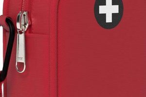 Travel Safe: Insulated Medication Travel Bag Solution | Best Travel Tips for Adventurers: Explore the World on a Budget