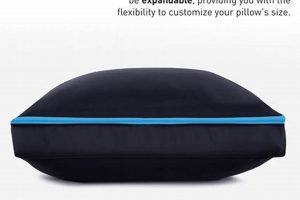 Protect &amp; Carry: Best Bag for Travel Pillow [2024 Guide] | Best Travel Tips for Adventurers: Explore the World on a Budget