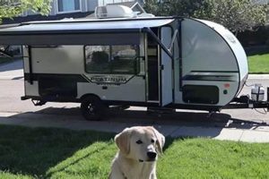 Rent Pet Friendly Travel Trailers: Your Adventure Awaits! Best Travel Tips for Adventurers: Explore the World on a Budget Rent Pet Friendly Travel Trailers: Your Adventure Awaits! | Best Travel Tips for Adventurers: Explore the World on a Budget