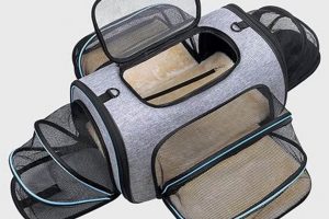 The Ultimate Guide: Best Way to Travel With Your Cat (Safely!) Best Travel Tips for Adventurers: Explore the World on a Budget The Ultimate Guide: Best Way to Travel With Your Cat (Safely!) | Best Travel Tips for Adventurers: Explore the World on a Budget