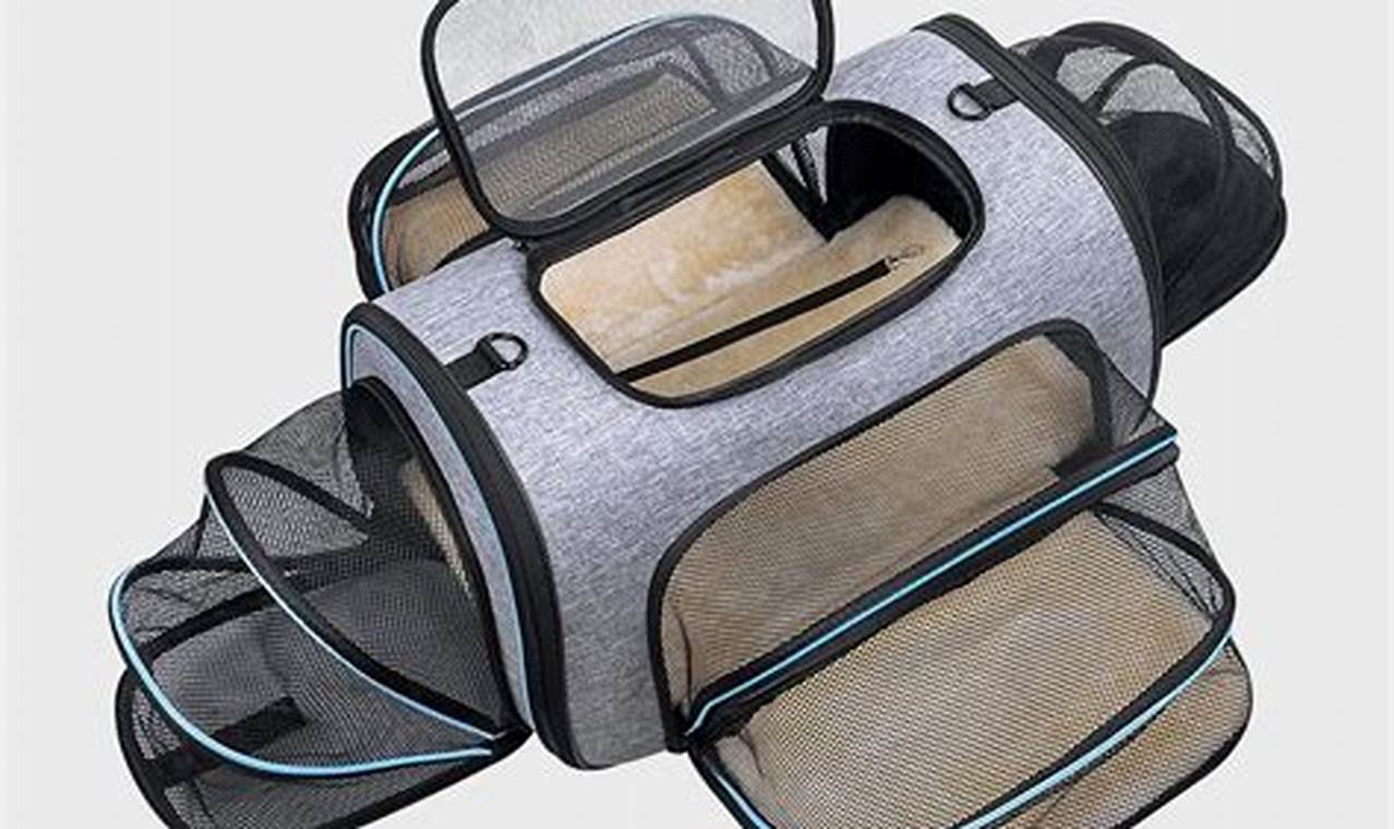 The Ultimate Guide: Best Way to Travel With Your Cat (Safely!) Best Travel Tips for Adventurers: Explore the World on a Budget The Ultimate Guide: Best Way to Travel With Your Cat (Safely!) | Best Travel Tips for Adventurers: Explore the World on a Budget