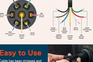 RV Plug Wiring: Easy Guide & Tips for Travel Trailers | Best Travel Tips for Adventurers: Explore the World on a Budget