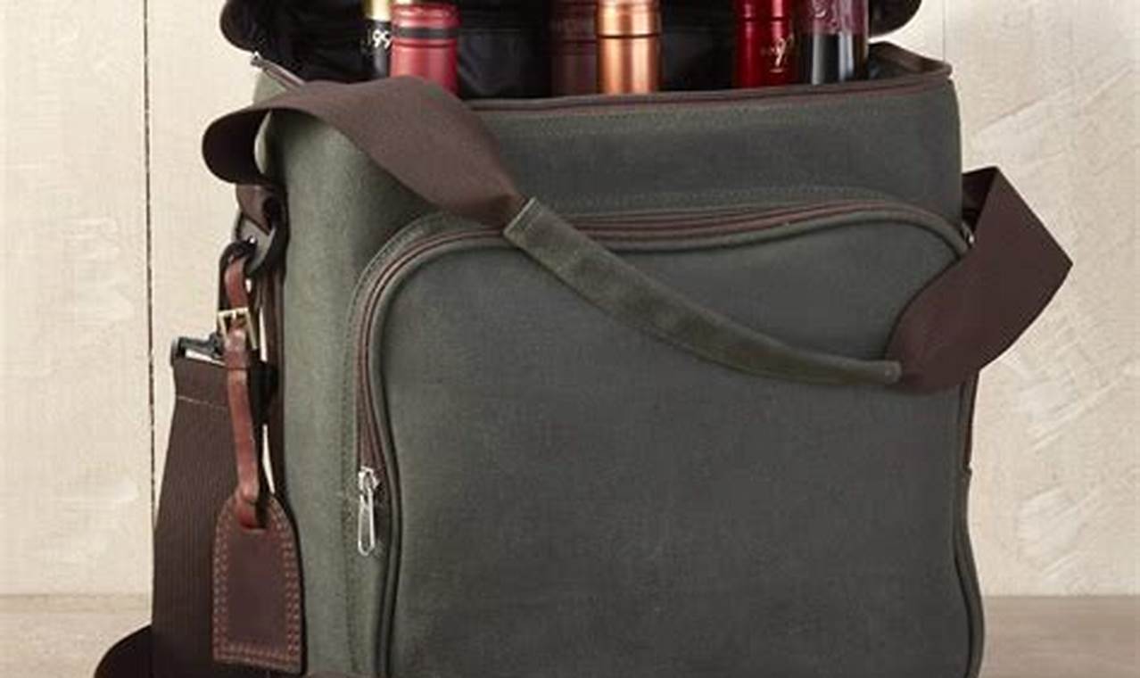 Best Travel Wine Bags: Secure, Insulated + More! | Best Travel Tips for Adventurers: Explore the World on a Budget