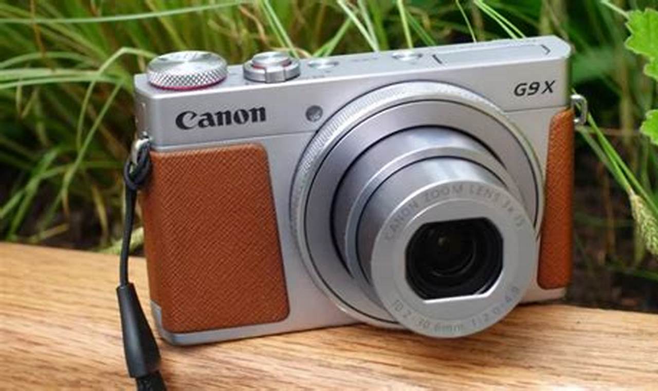 Budget Traveler's: Best Cheap Camera for Travel Guide (2024) | Best Travel Tips for Adventurers: Explore the World on a Budget