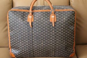 Luxury Goyard Travel Bag: Style & Durability | Best Travel Tips for Adventurers: Explore the World on a Budget