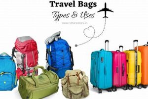 The Ultimate Guide to Types of Travel Bags (2024 Edition) | Best Travel Tips for Adventurers: Explore the World on a Budget