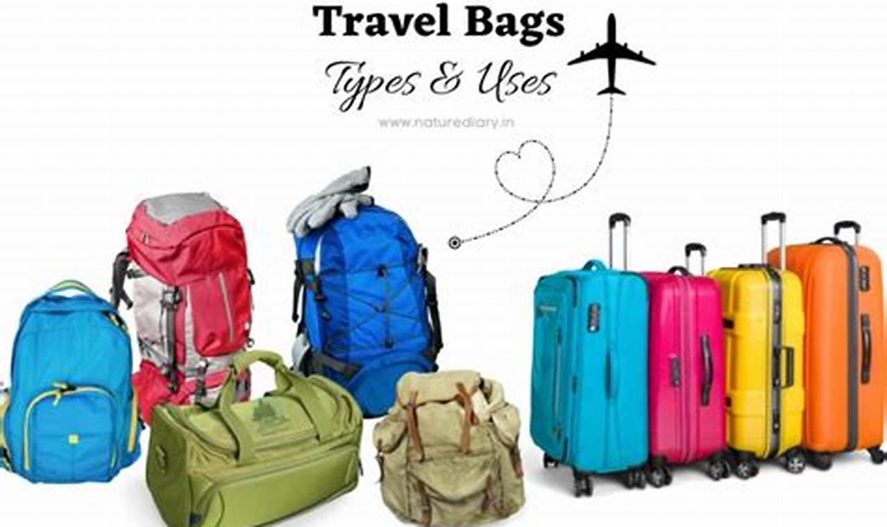 The Ultimate Guide to Types of Travel Bags (2024 Edition) | Best Travel Tips for Adventurers: Explore the World on a Budget