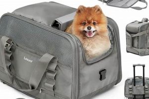 Top Pick: Best Airline for Pet Travel Guide (2024) | Best Travel Tips for Adventurers: Explore the World on a Budget