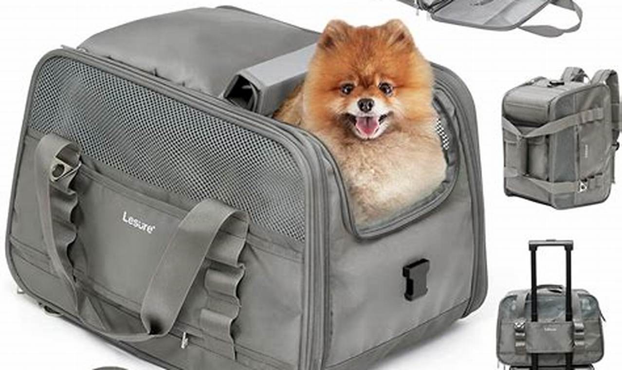 Top Pick: Best Airline for Pet Travel Guide (2024) | Best Travel Tips for Adventurers: Explore the World on a Budget