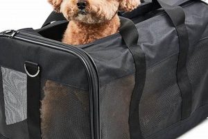 Best Bag for Dog Travel: Safe & Easy Carriers | Best Travel Tips for Adventurers: Explore the World on a Budget