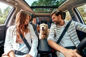Top Breeds: Best Dogs to Travel With Guide Best Travel Tips for Adventurers: Explore the World on a Budget Top Breeds: Best Dogs to Travel With Guide | Best Travel Tips for Adventurers: Explore the World on a Budget