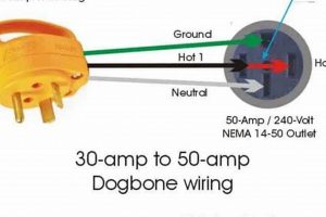 RV: 30 Amp Travel Trailer Plug Wiring Diagram + Tips | Best Travel Tips for Adventurers: Explore the World on a Budget
