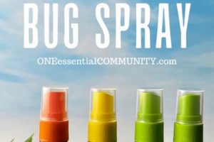 Top-Rated: Best Travel Bug Spray for Worry-Free Adventures | Best Travel Tips for Adventurers: Explore the World on a Budget