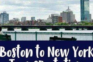 NYC Bound: Best Way to Travel from Boston to New York? | Best Travel Tips for Adventurers: Explore the World on a Budget
