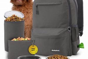 Best Doggy Travel Bag: Safe & Comfy Travel | Best Travel Tips for Adventurers: Explore the World on a Budget