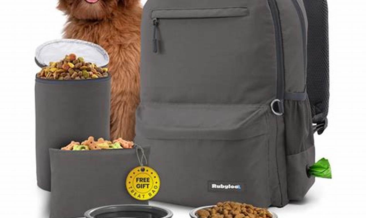 Best Doggy Travel Bag: Safe & Comfy Travel | Best Travel Tips for Adventurers: Explore the World on a Budget