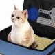 The Best Travel Litter Box: Portable Cat Toilet [2024] | Best Travel Tips for Adventurers: Explore the World on a Budget