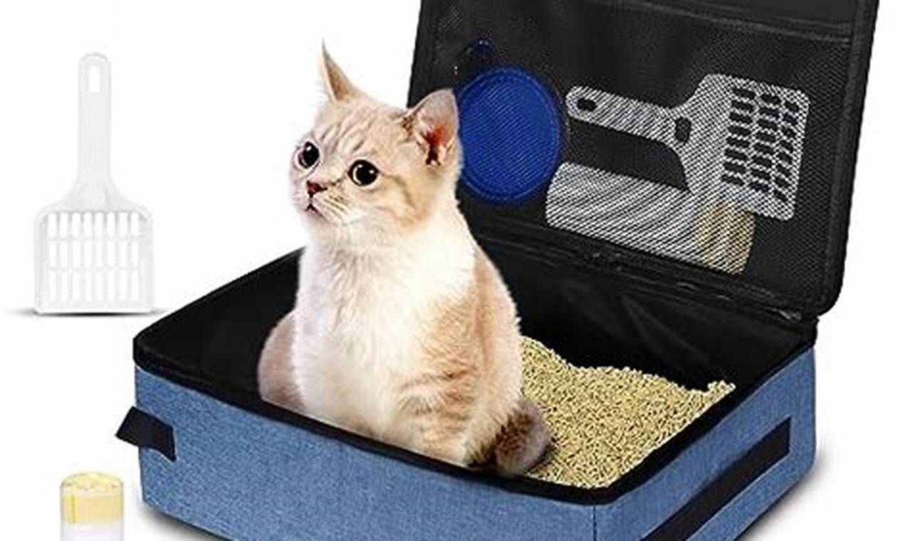 The Best Travel Litter Box: Portable Cat Toilet [2024] | Best Travel Tips for Adventurers: Explore the World on a Budget