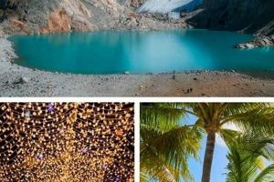 Top US Travel Destinations in December : Winter Escapes! | Best Travel Tips for Adventurers: Explore the World on a Budget
