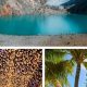 Top US Travel Destinations in December : Winter Escapes! | Best Travel Tips for Adventurers: Explore the World on a Budget
